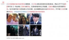 韩娱大爆料天涯影院视频,天涯影院视频揭秘娱乐圈不为人知的一面